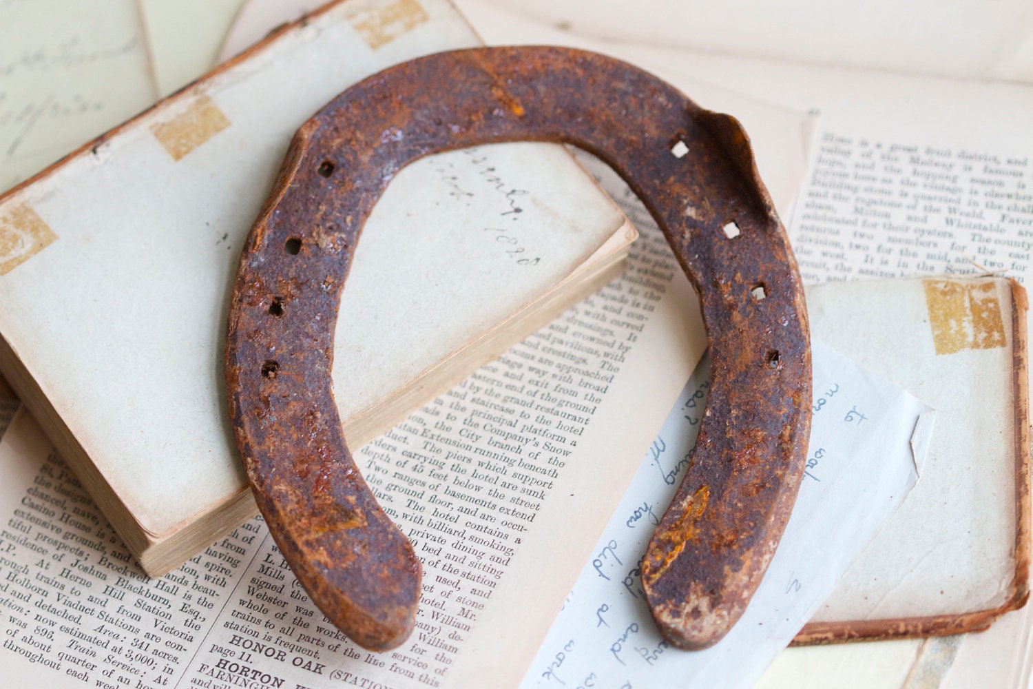 Old and Rusty Horse Shoe - Rustic Home Decor