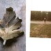 Custom made Oak leaf brooch printed with your photograph