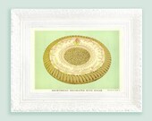 Vintage Baking Print in Aqua Duck Egg Blue Pink Lemon Pastel Shades. Vintage confectionery print. Vintage Dessert Print. 11x8 Mint VC1