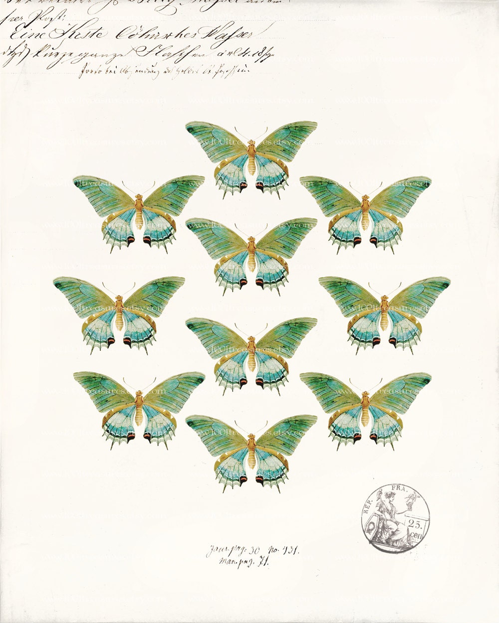 Butterfly Original Collage Art Print - 8 x 10 - Butterfly Collage