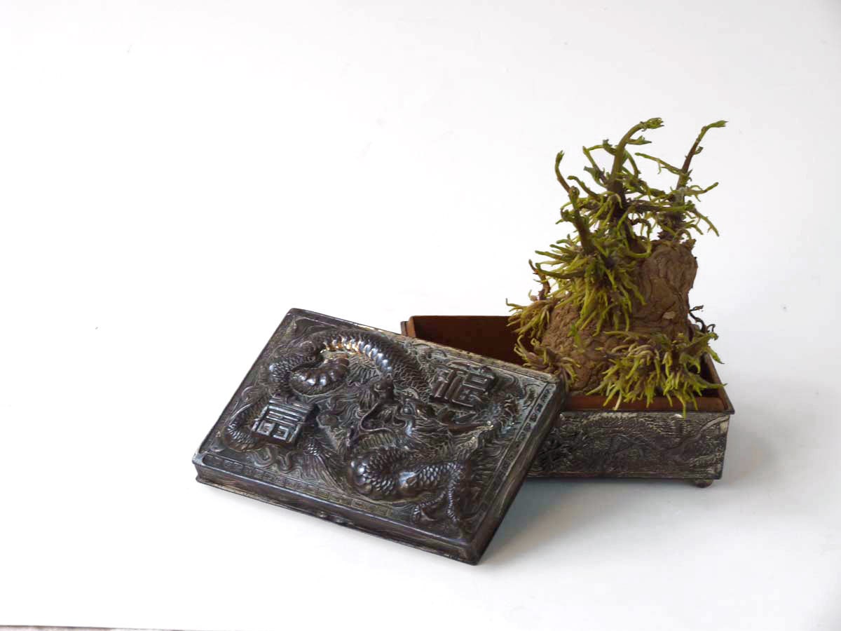 Silverplate dragon box, Made in Japan