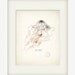 Vintage Atlantic Jellyfish Illustration Natural History Wall Decor Art Print 8x10
