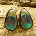 3/4" Real Peacock Feather on Areng Wood Teardrop Plugs