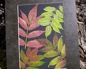 Real Pressed Sumac- OOAK Original Botanical Art - 11 x 14 Matted Artwork - Fall Leaves