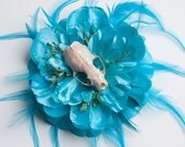 Large turqouise floral fascinator featuring real animal skull