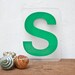 Green Marquee Plastic Letter S Sign