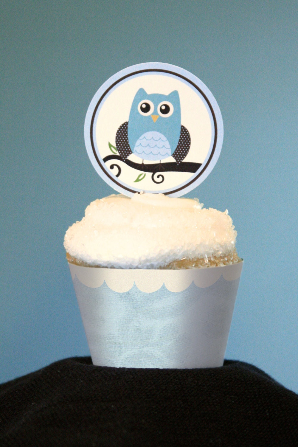24 Modern Owl Boy Birthday/Shower Cupcake Toppers