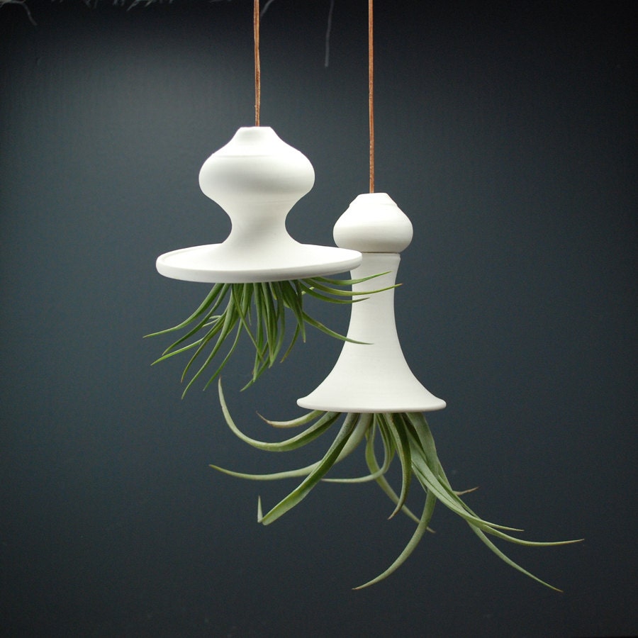 Squash Blossom Hanging Air Planter - Set of 2 porcelain planters