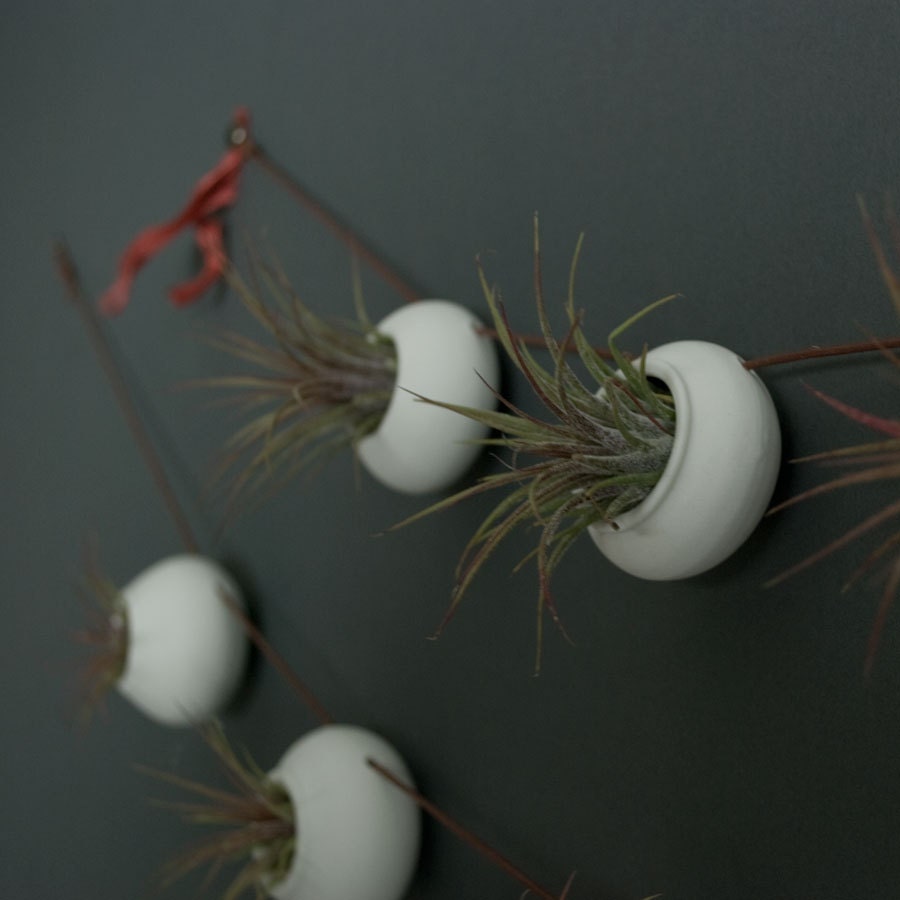 Garland  - 3 Hanging Air Planters - Porcelain Garland