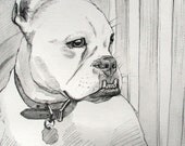 Custom Pet Portrait, Ink and watercolour original drawing of your pet