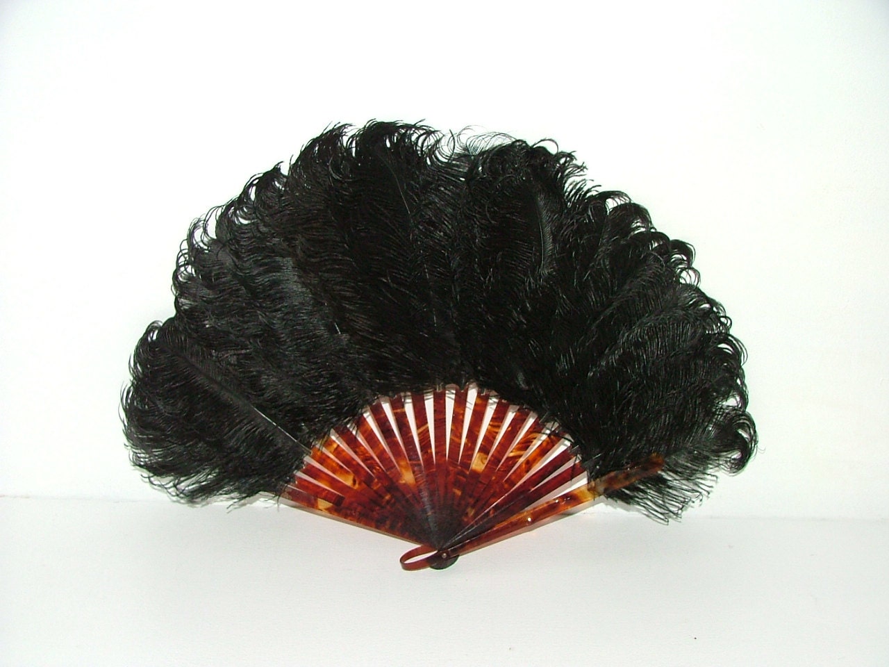 black feather fan. Feather fan, Black feathers, Fan