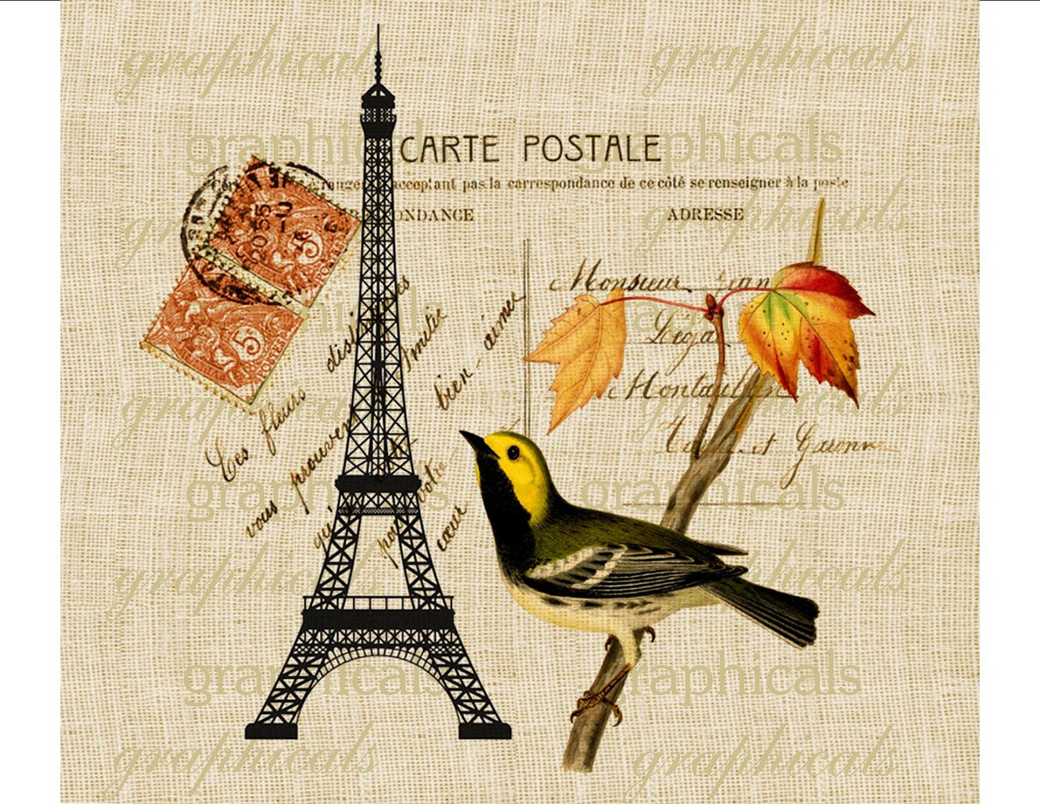 Paris Autumn Eiffel Tower Bird Digital download graphic image for Iron on fabric transfer burlap decoupage pillows tags cards No. 1727