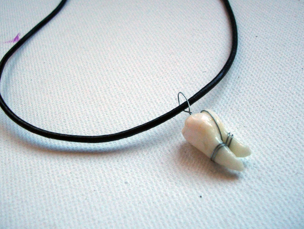 Unisex Real Human Tooth Necklace by TheArtOfDecay on Etsy