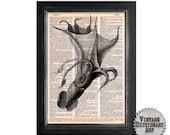 Classical Squid - Recycled Vintage Dictionary Art Print - 8x10.5 - dictionary art print decor dictionary page art