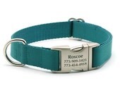 Teal Ribbon & Webbing Dog Collar with Laser Engraved Personalized Buckle