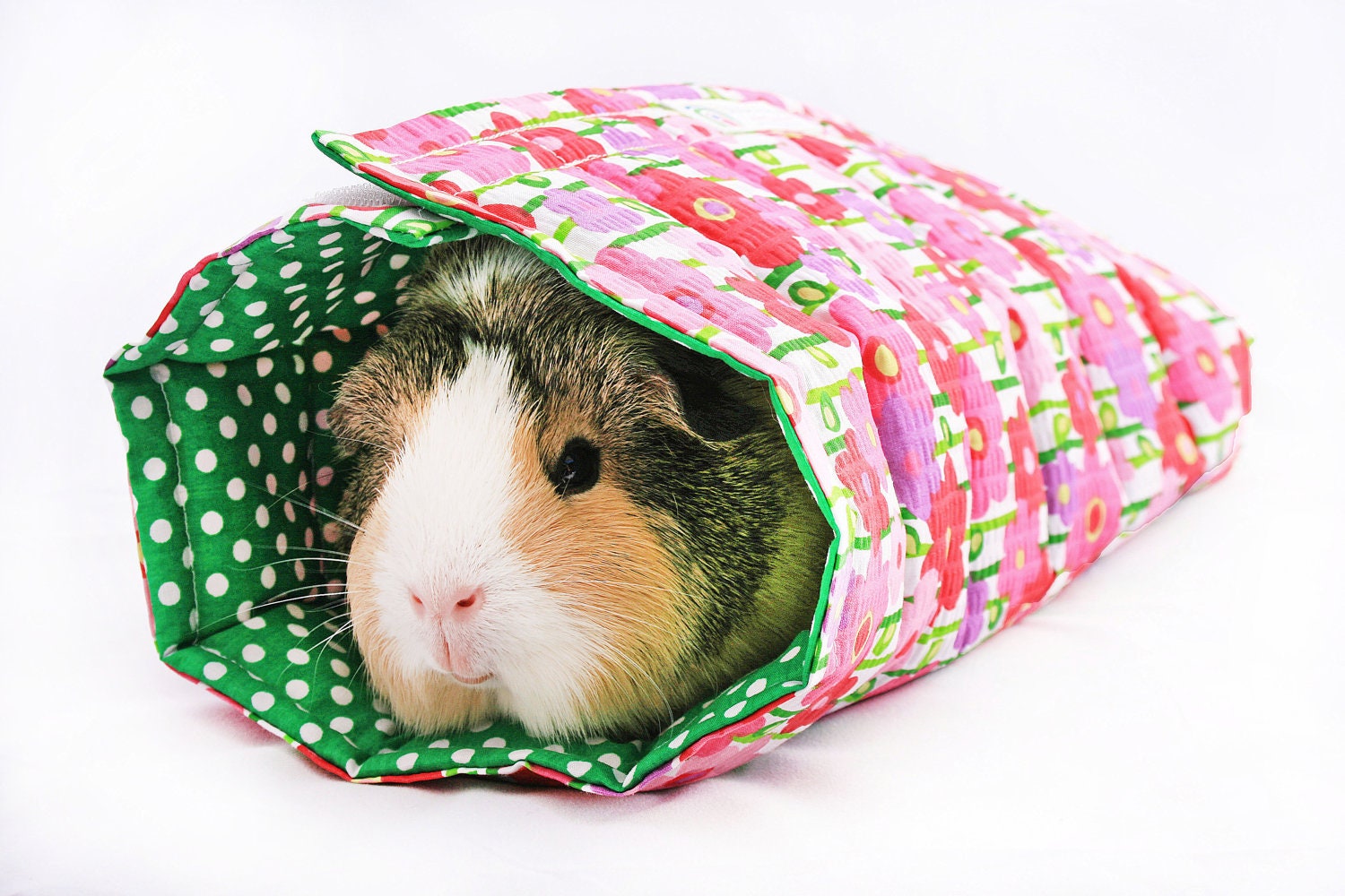Floral Field Guinea Pig Roll-up