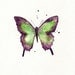 Butterfly/Dragonfly/Eggplant,Plum, Purple and Light Green/ Watercolor Print/ 2 for 30.00