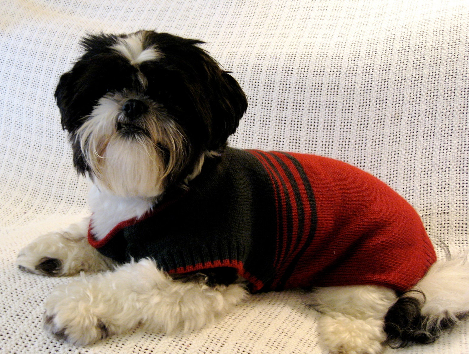Grey and Red Sweater Dog Sweater Coat