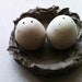 Ceramic salt and pepper shakers