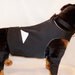 RockinDogs Custom Large Dog Tuxedo Vest and Bow Tie Collar Set. Match your wedding colors