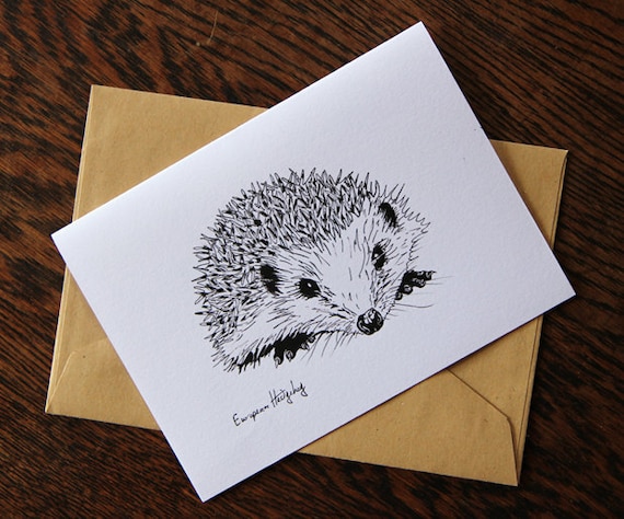 Pack of 6 Hedgehog blank cards