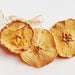 REAL Dried FRUIT Ornament, Orange, Pear, Apple, Fall Decor, 12 ornaments. Natural decorations. Made to order.