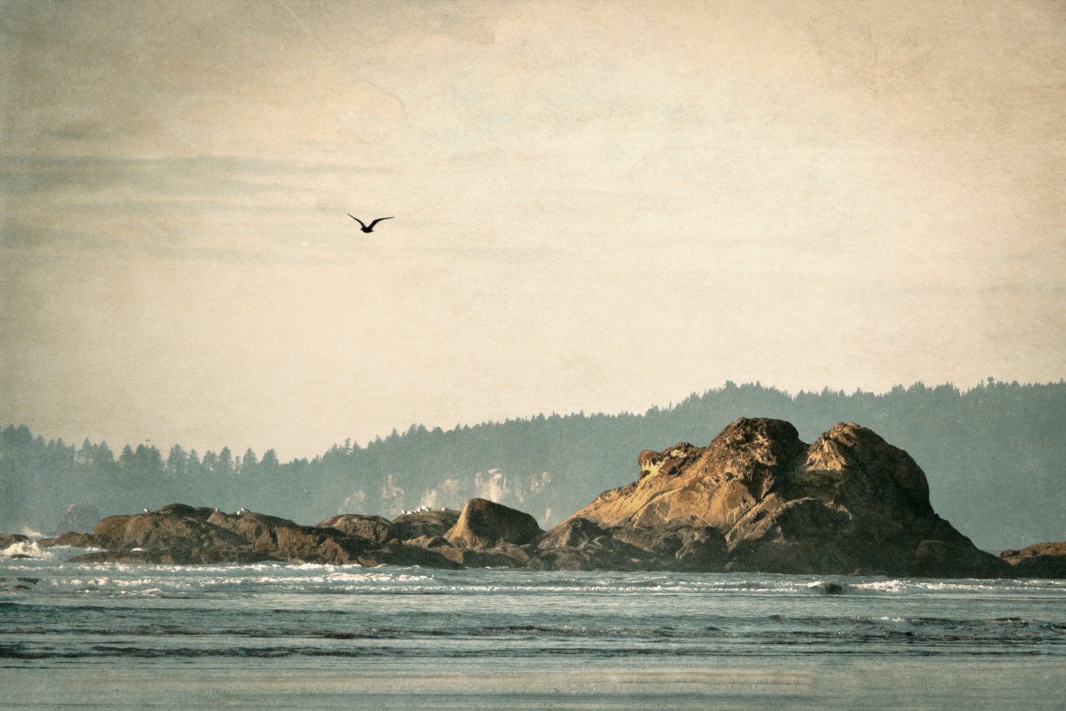 Washington Coast, Simplicity, Sea, Pacific Ocean, Waves, 8 x 10 Photography