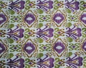 Outdoor blanket, Tarpestry, IKAT, Double Duty, Sports Blanket, Picnic blanket, concert blanket
