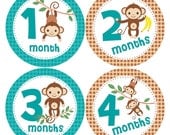 Monthly Onesie Stickers for Baby Boys...Little Monkeys...Favorite Baby Shower Gift or Photo Prop...Baby Birthday