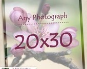 Any Photograph as a 20x30 Print