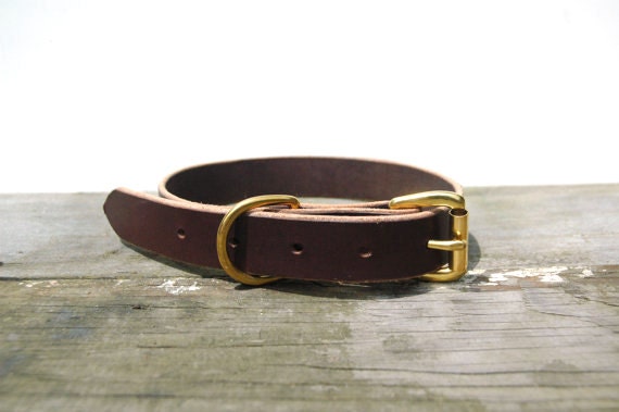 Leather Dog Collar in Dark Brown with Brass