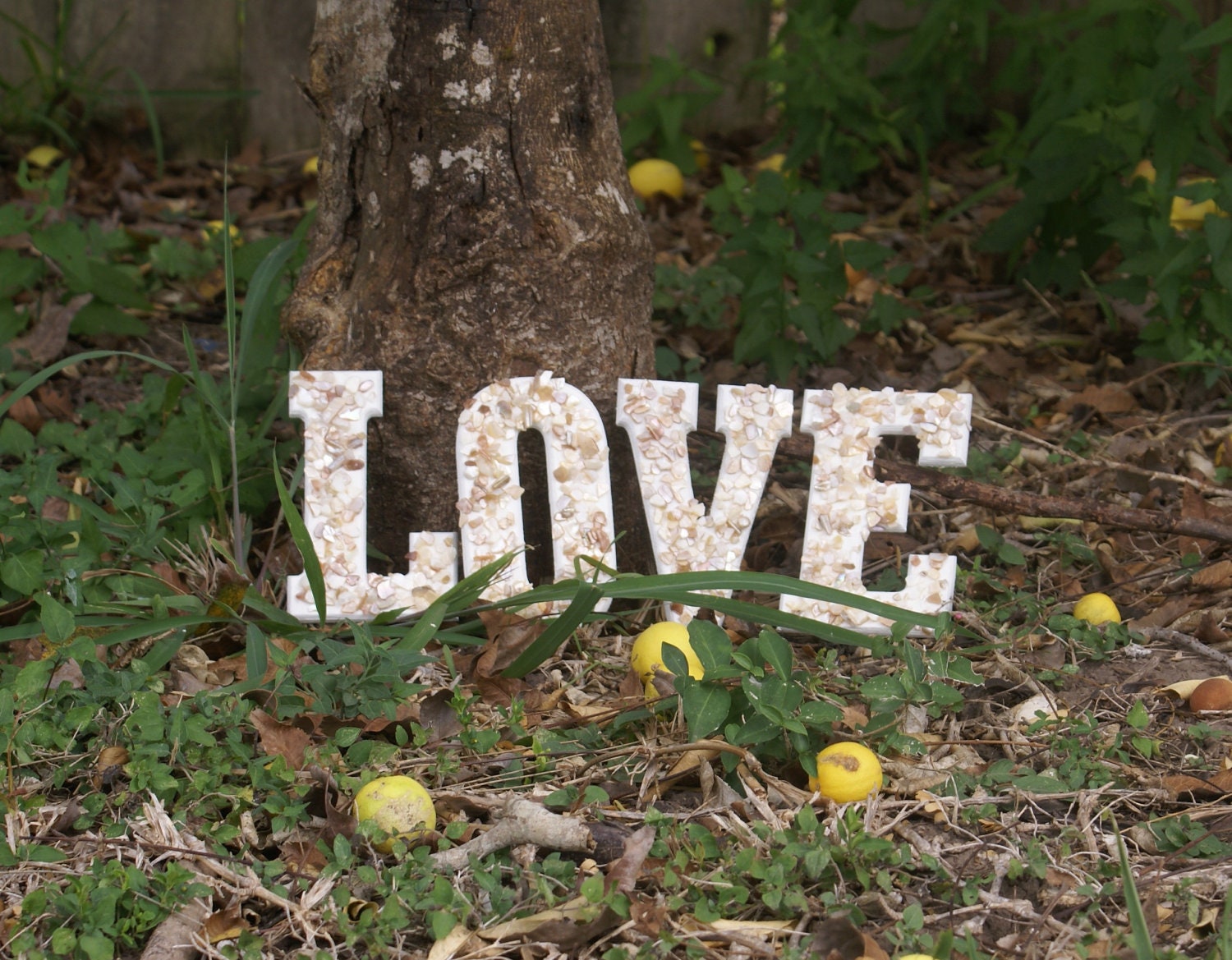 Signage, wedding decor seashell  "Love" Letters beach wedding