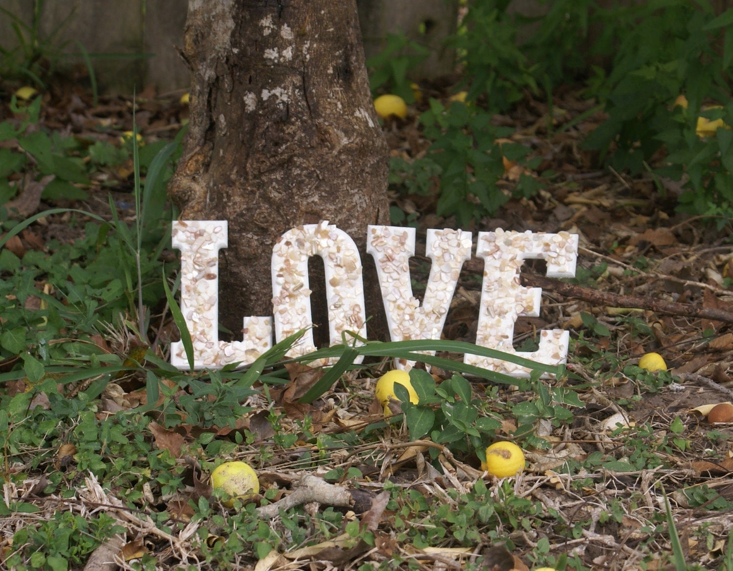 Signage wedding decor seashell Love Letters beach by JustShellin
