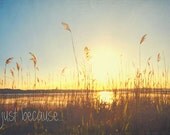 just because, premium quality greeting card, a 10 x 15cm blank photo card, for any occasion