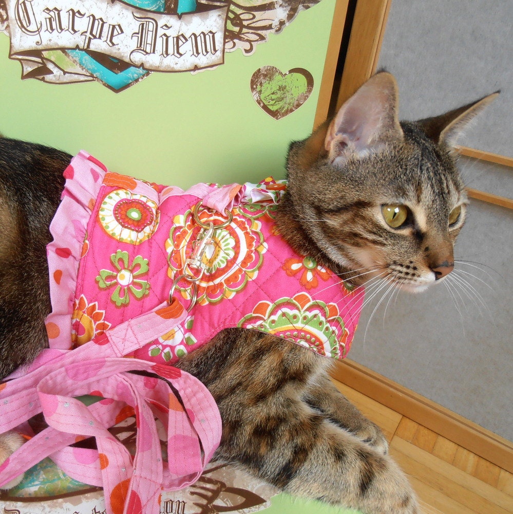 Hot Pink Orange Cat Harness with Leash, Reversible Pet Harness, Teacup Girl Dog Clothes