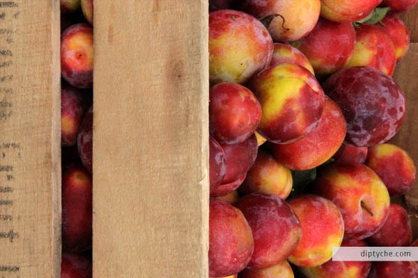 Nectarine Garden Farmers Market Fresh Fruit Spring Summer Seasonal Kitchen Wall Art Diptych (4" x 6" Fine Art Photo Print / Notecard)