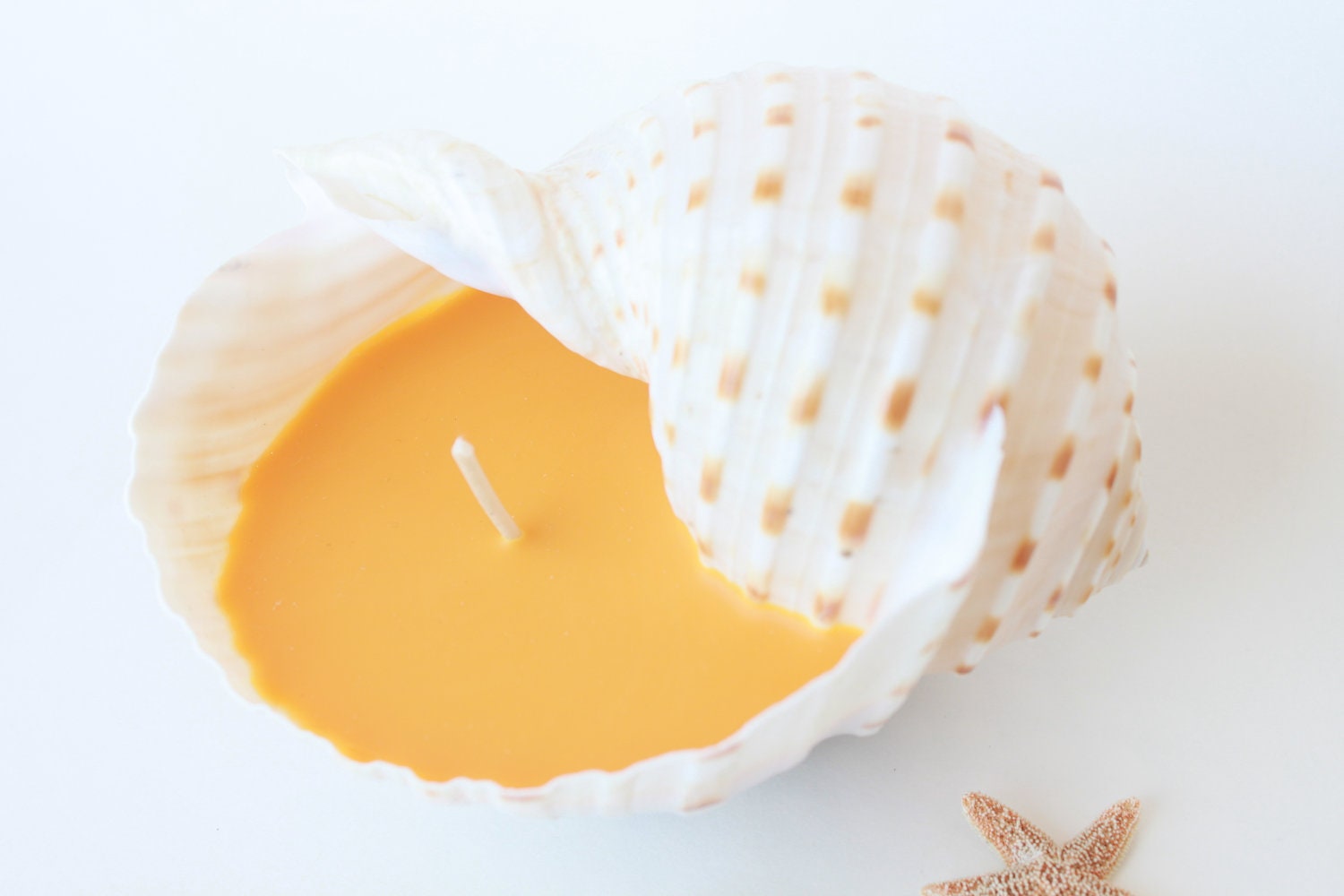 Orange Soy Candle in White Seashell- Tropical Scent