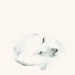 Fox Artwork - Woodland Animal Art Print from Original Watercolor