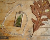 Window Locket with live Fern