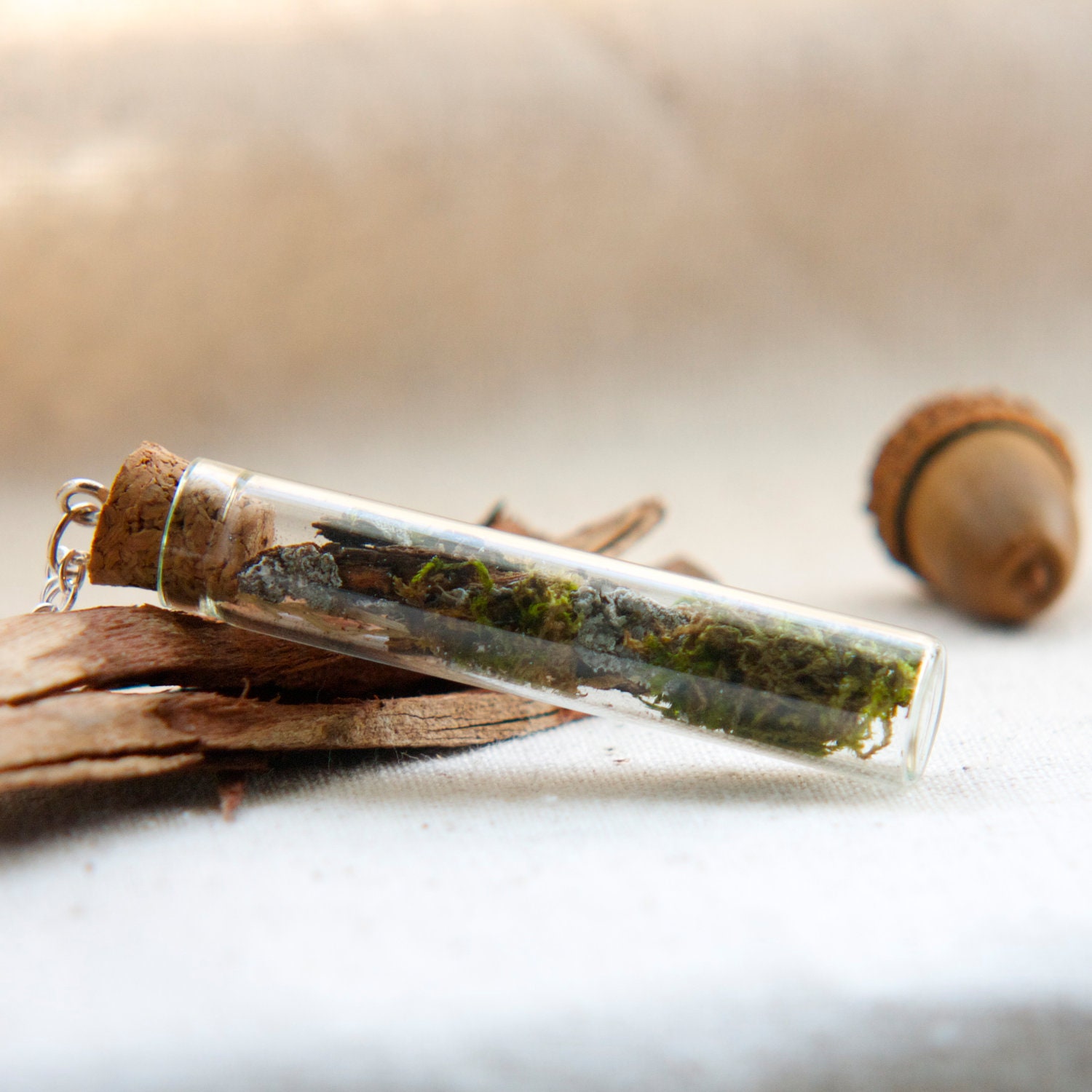 vial necklace botanical preserved specimen corked sage green moss lichen. natural nature. tree woods