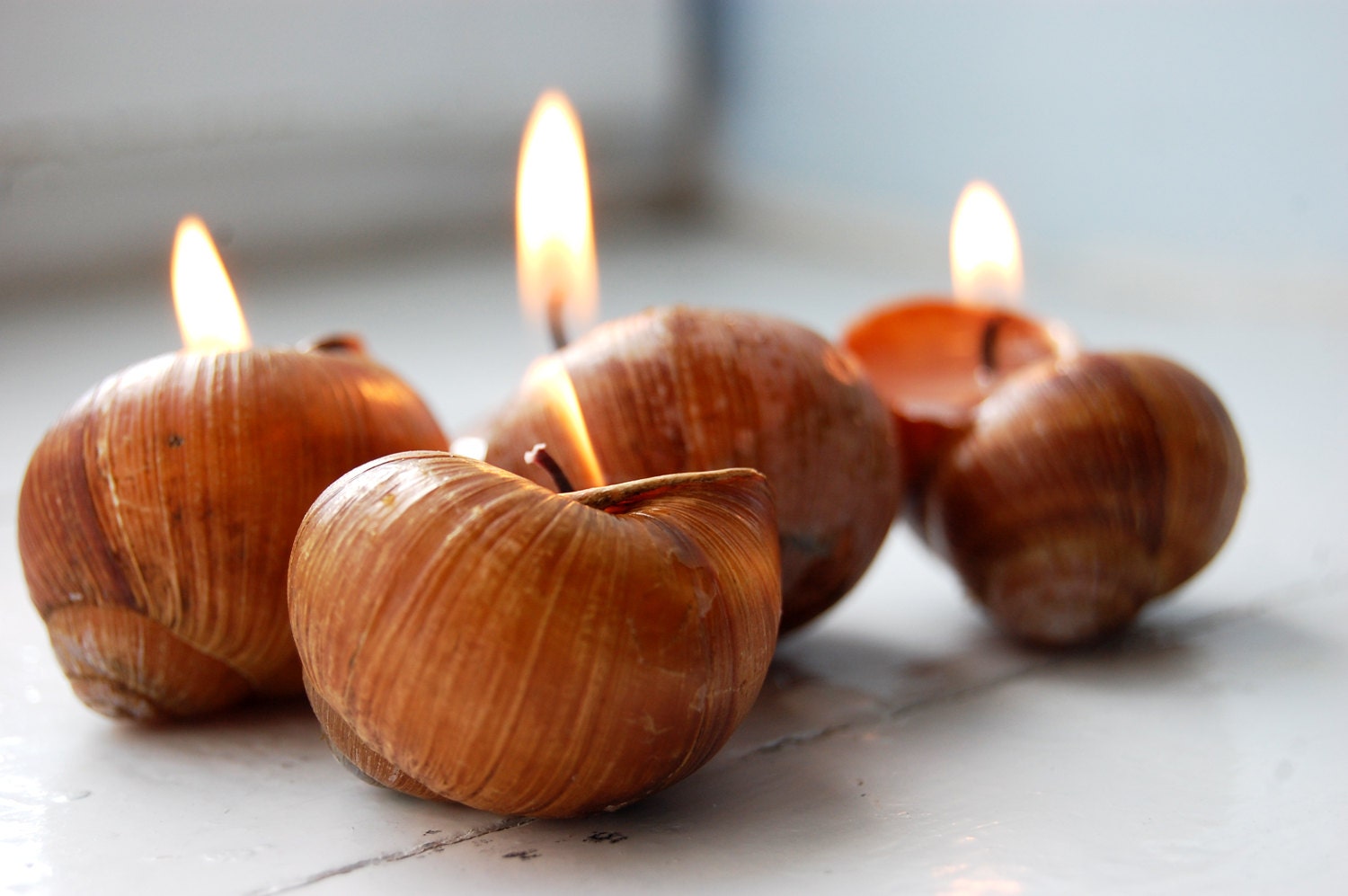 Snails Shell Candle Handmade Eco-friendly Reusable Candle Vanilla Scent - LessCandles