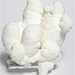 Snow White Cave Aragonite Stalagmite Mexico
