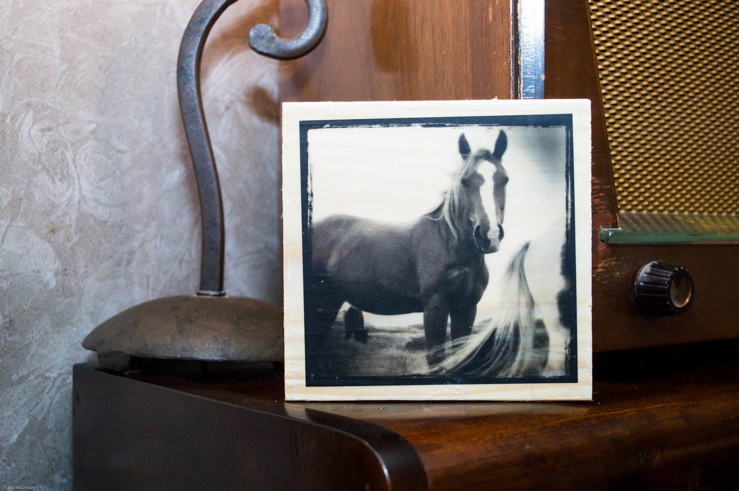Wraparound Horse Image Transfer on Wood Block (6" x 6")