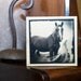Wraparound Horse Image Transfer on Wood Block (6" x 6")