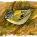 ACEO Original- In the bush, in watercolor.
