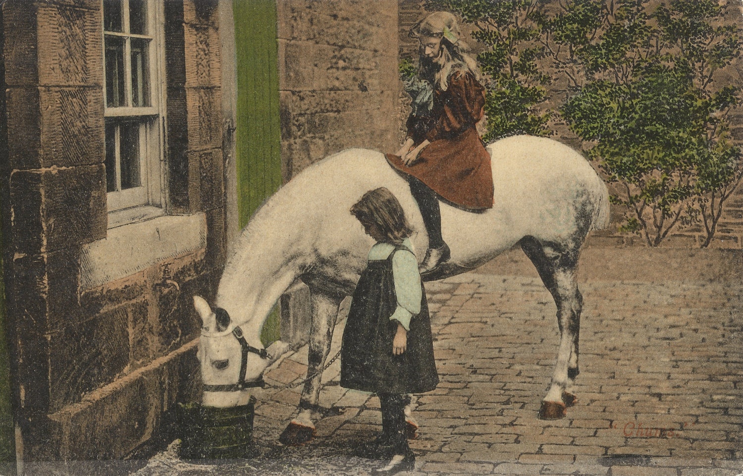 Don't Forget Wednesday - Vintage 1907 Hand Tinted Horse Postcard