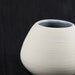 White and blue porcelain vase