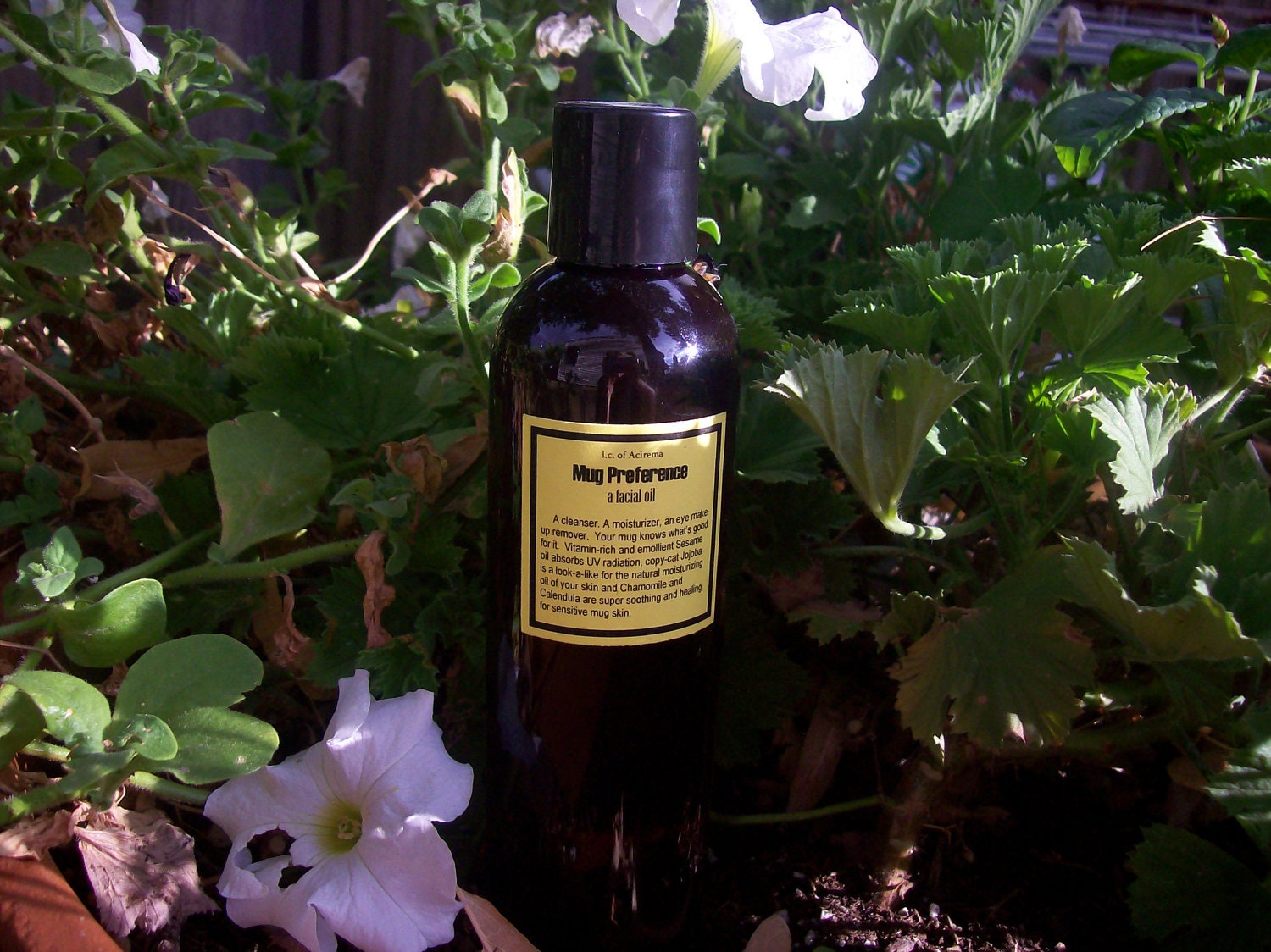 8 oz facial cleanser, Mug Preference, a facial oil