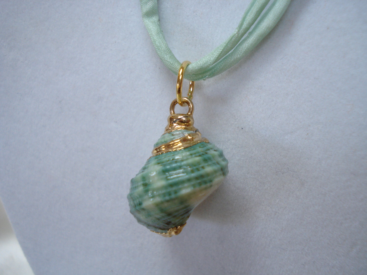 Shell Necklace in Green with Gold Accents