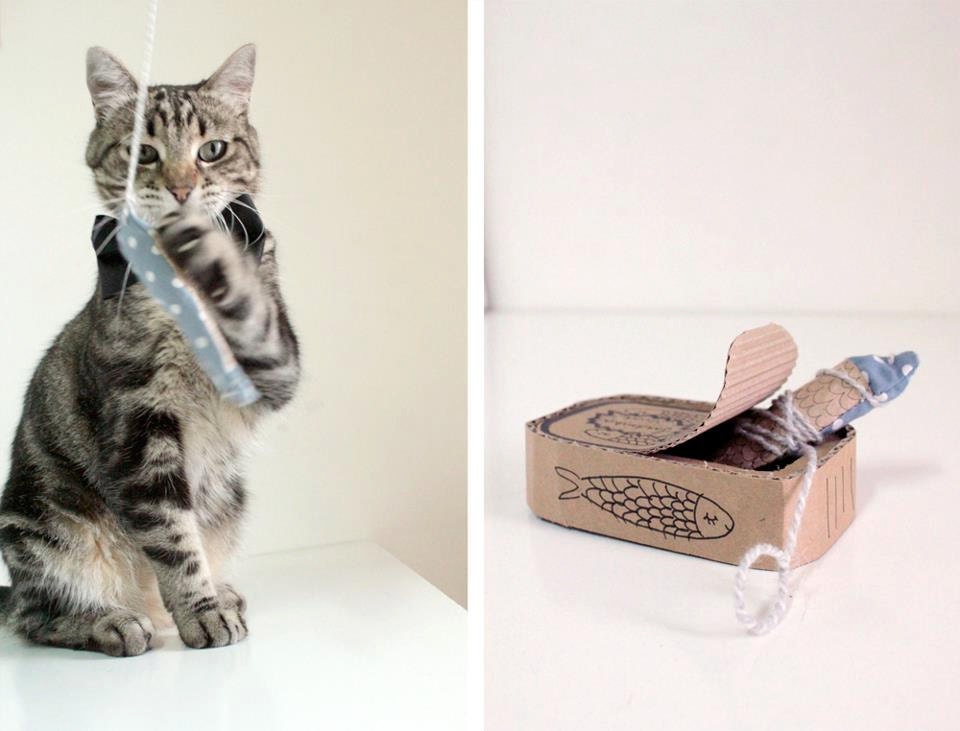 Sardinha viva - cat toy